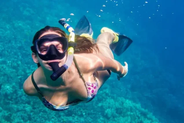 Big Island Snorkeling tours 1024x538 1